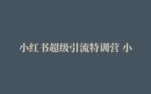 小红书超级引流特训营 小红书爆文笔记+核心排名算法+偷天换日快速引流法