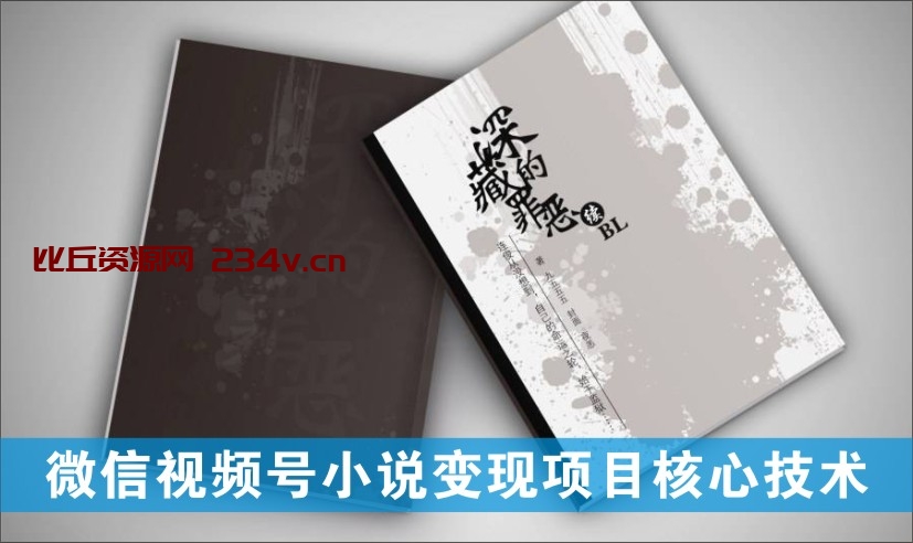 微信视频号小说变现项目核心技术 全新玩法零基础也能月入10000+