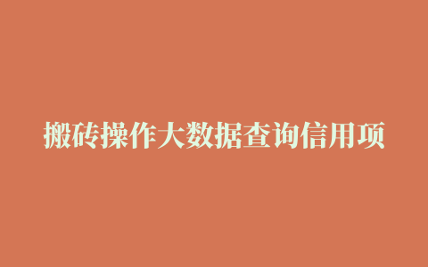 搬砖操作大数据查询信用项目赚钱教程