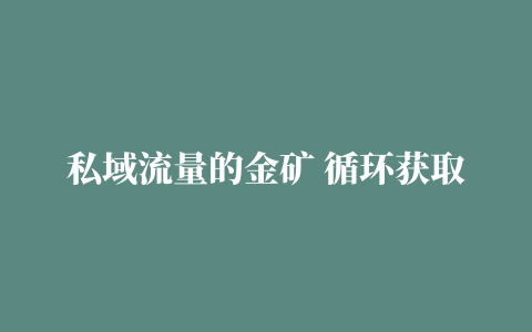 私域流量的金矿 循环获取各大媒体精准流量 无限复制网红的精准流量 教程价值2200