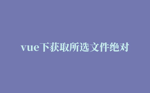 vue下获取所选文件绝对路径