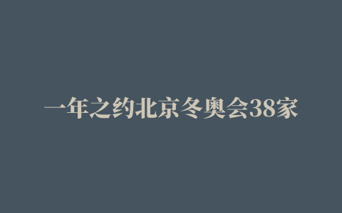 一年之约北京冬奥会38家赞助企业最全盘点