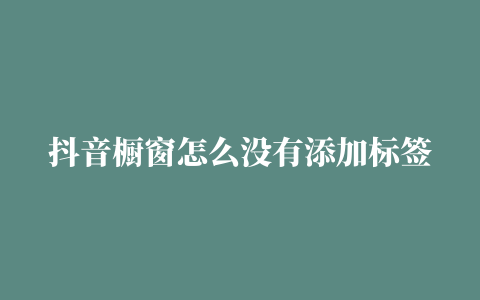 抖音橱窗怎么没有添加标签 (抖音橱窗怎么没有添加标签功能)