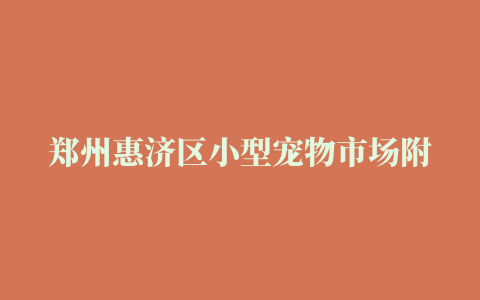 郑州惠济区小型宠物市场附近的位置、郑州蓝猫地址在哪