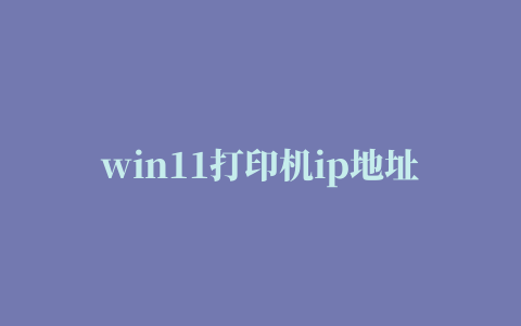 win11打印机ip地址哪里看,磁力链接