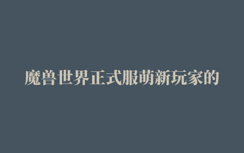 魔兽世界正式服萌新玩家的游戏攻略，保姆级插件教学