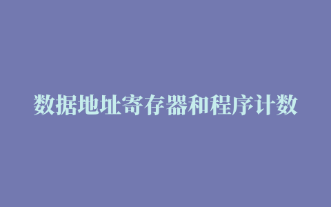 数据地址寄存器和程序计数器的区别