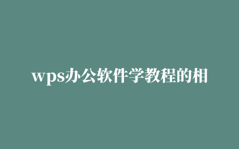 wps办公软件学教程的相关推荐