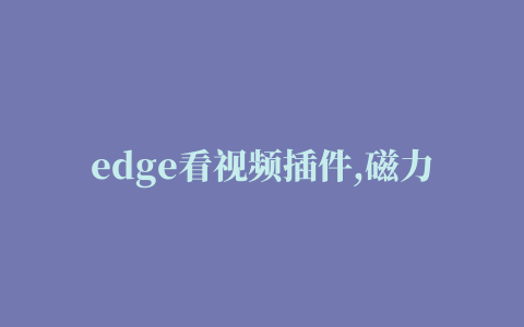 edge看视频插件,磁力链接