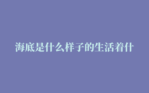 海底是什么样子的生活着什么生物是不是黑得什么也看不见，静得什么声音都听不见