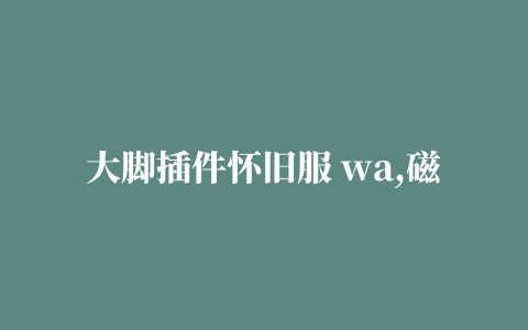 大脚插件怀旧服 wa,磁力链接