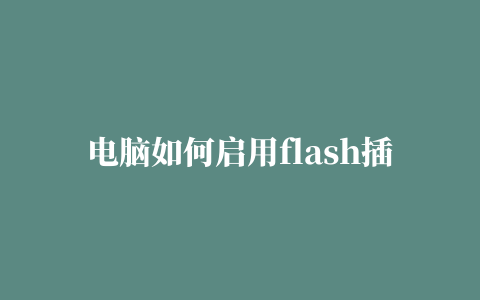 电脑如何启用flash插件,磁力链接