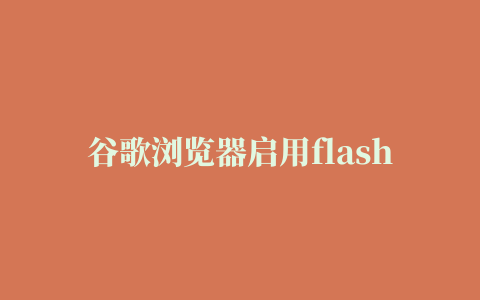 谷歌浏览器启用flash插件,磁力链接