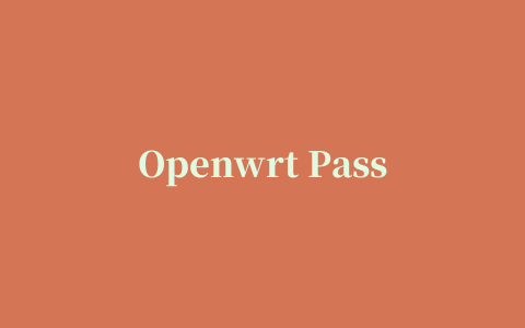 Openwrt Passwall 科学上网插件，简明使用教程