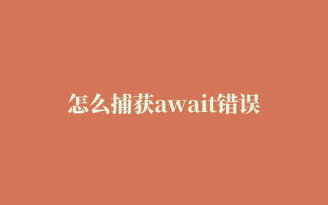 怎么捕获await错误