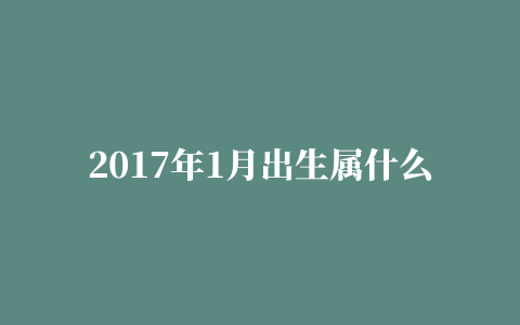 2017年1月出生属什么生肖 属鸡还是属猴