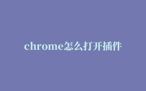 chrome怎么打开插件