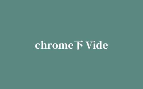 chrome下 Video Downloader professional 视频下载插件安装和使用