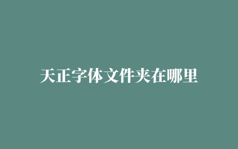 天正字体文件夹在哪里