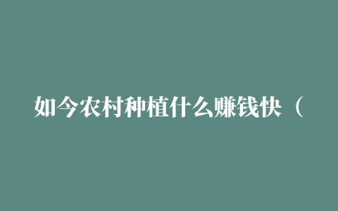 如今农村种植什么赚钱快（乡村这几类栽种能亩收入过万）