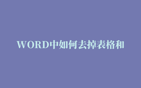 WORD中如何去掉表格和格式,删除word中的空格空行和空段