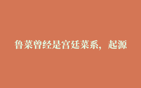 鲁菜曾经是宫廷菜系，起源于哪里省会才能代表一个菜系吗