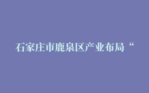 石家庄市鹿泉区产业布局“插花”变集聚