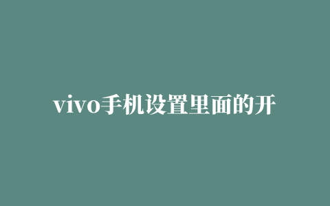 vivo手机设置里面的开启开发者选项在哪里(vivo怎么调开发者选项)