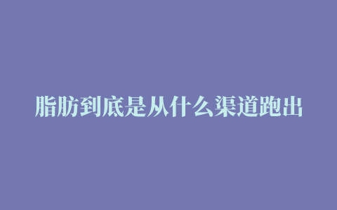 脂肪到底是从什么渠道跑出人体的呢