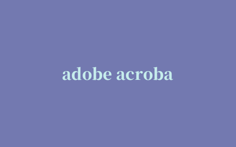 adobe acrobat reader DC如何关闭自动更新