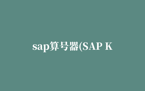 sap算号器(SAP Key Generator)