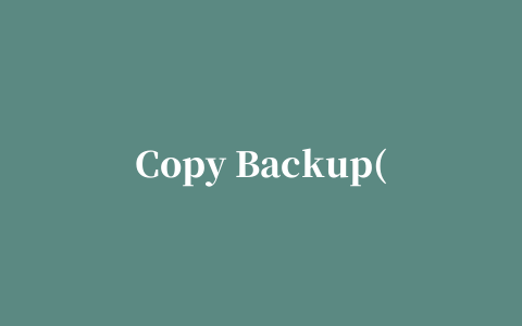 Copy Backup(数据快速复制到本地磁盘)