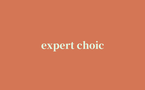 expert choice(ahp层次分析法软件)