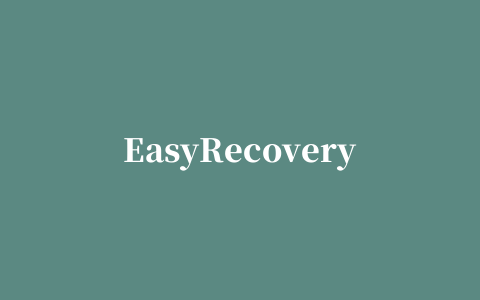 EasyRecovery Professional汉化版(硬盘数据恢复)