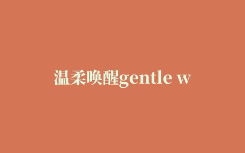 温柔唤醒gentle wakeup(优雅唤醒)