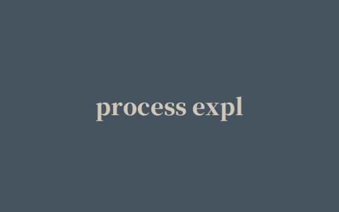 process explorer中文版