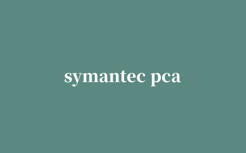 symantec pcanywhere 中文修改版