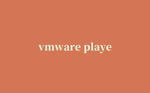 vmware player汉化补丁