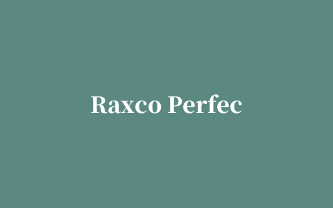 Raxco PerfectDisk for Exchange 2008(磁盘整理)