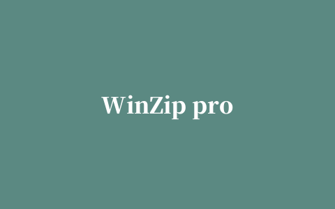 WinZip pro