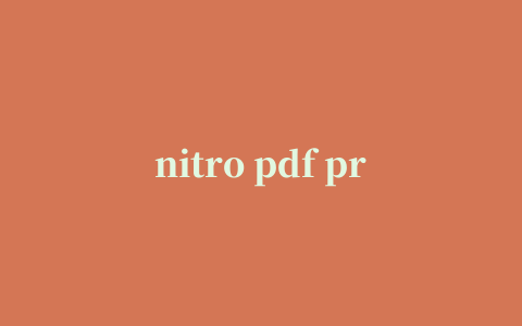 nitro pdf professional 9中文修改版