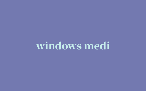 windows media player解码器