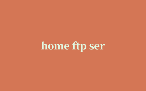 home ftp server中文版