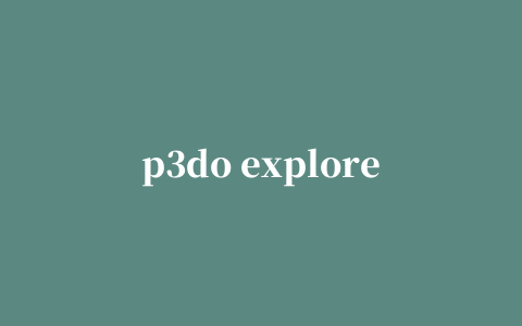 p3do explorer软件