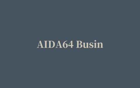 AIDA64 Business Edition(硬件检测工具)