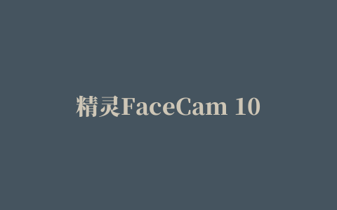 精灵FaceCam 1020 Tattoo摄像头驱动