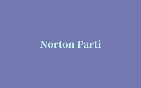 Norton PartitionMagic(pm硬盘分区工具)