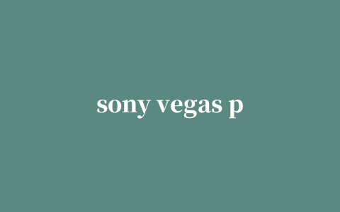 sony vegas pro13注册机