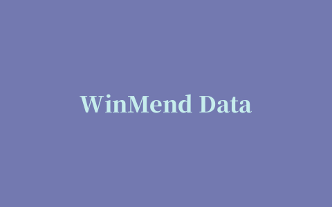 WinMend Data Recovery汉化修改版