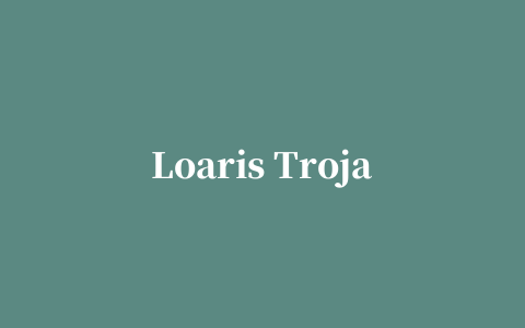 Loaris Trojan Remover中文修改版(特洛伊木马专杀工具)